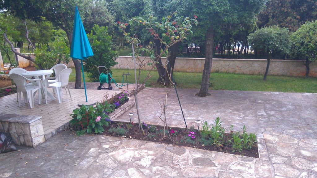 Apartment Basic Petrčane Dış mekan fotoğraf