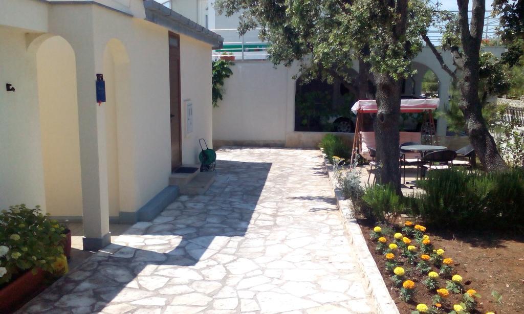 Apartment Basic Petrčane Dış mekan fotoğraf