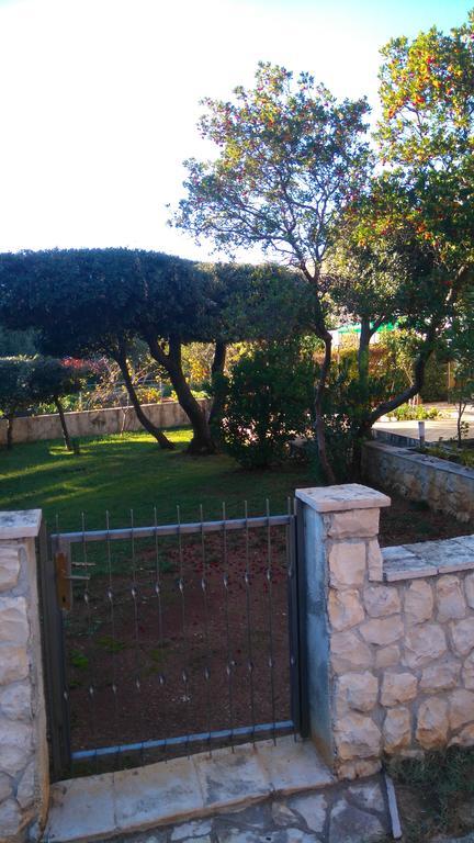 Apartment Basic Petrčane Dış mekan fotoğraf