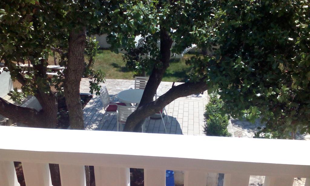 Apartment Basic Petrčane Dış mekan fotoğraf